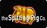Spitting Pig