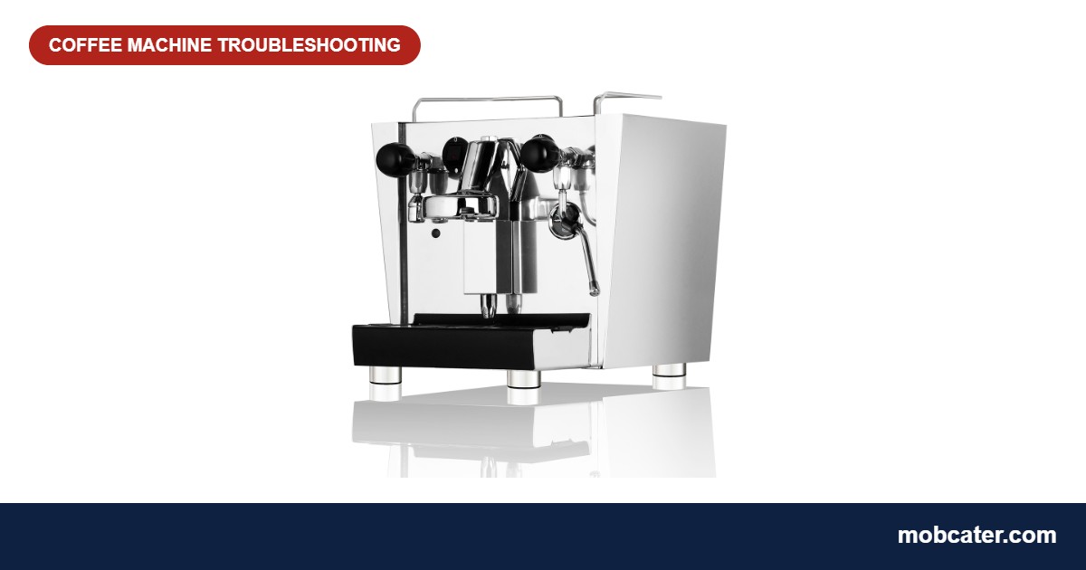 Commercial espresso machine used to diagnose a shot pouring too fast or too slow
